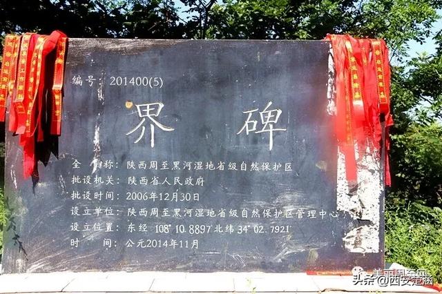 山不见我，我去见山：圆疙瘩山古会，等风也等你