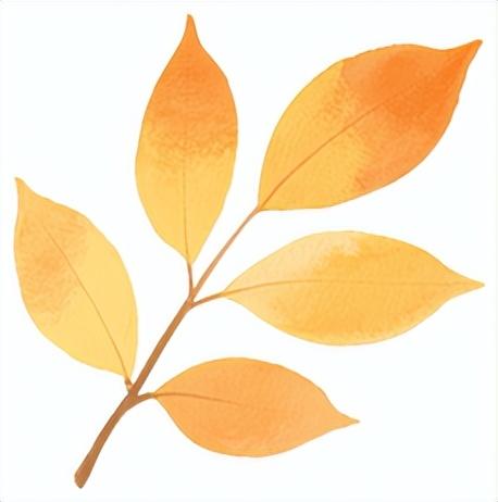 今天开幕！持续三天！福州市中心这个公园，特好玩！