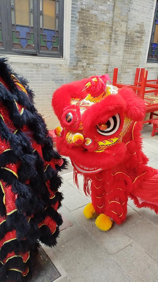 2026广东温暖之旅：佛山祖庙、孙中山故居、孙文西路步行街