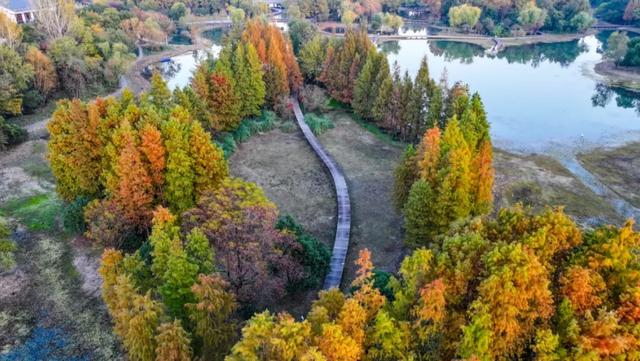 这样的张家港,我“All in”了!