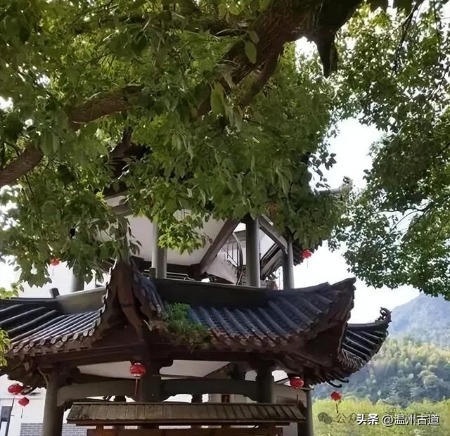 温州著名的红色古村，深藏岁月深处的浙南革命印记，值得你来