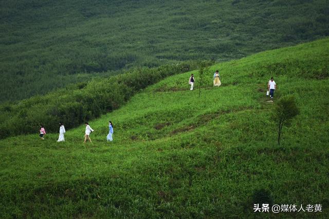 六盘水“贵州屋脊”韭菜坪清凉气候吸引各地游客赏景避暑游