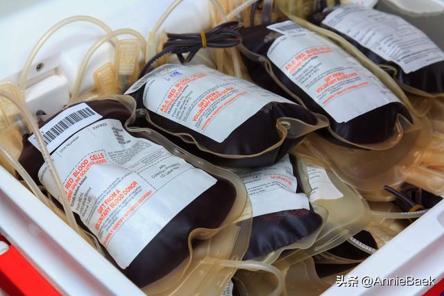 美国富饶又富有，在经济繁荣表象下，普通民众却需靠卖血维生？