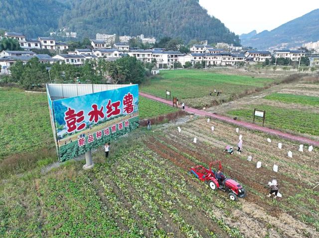 小布丁·早安丨地名里的重庆：彭水郁山镇，与盐的不解之缘