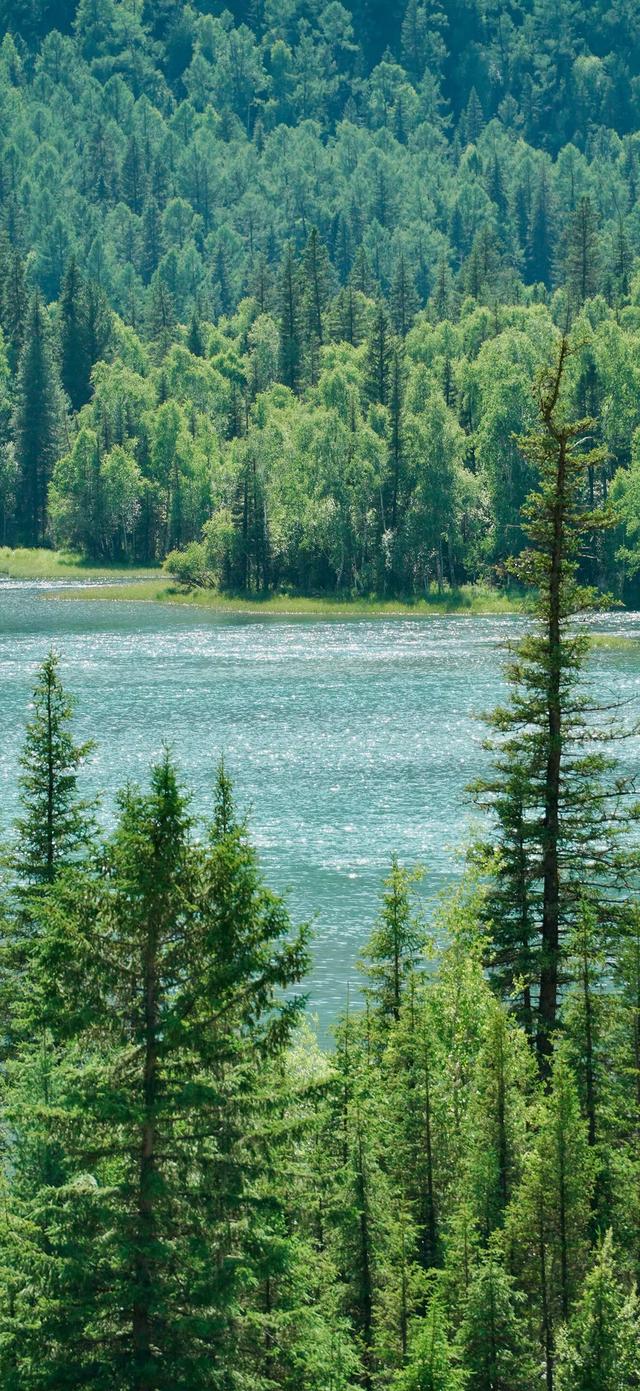 壁纸｜给时间时间，让过去过去，让开始开始