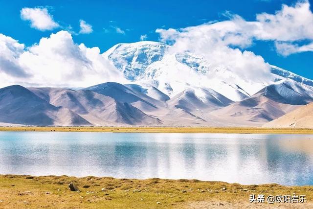秋季的新疆，一草一木皆风景！