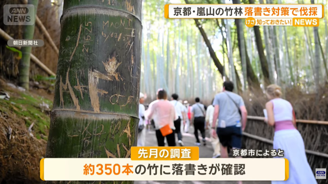日本网红打卡地快被外国游客 “霍霍” 没了？京都岚山被逼砍竹林！