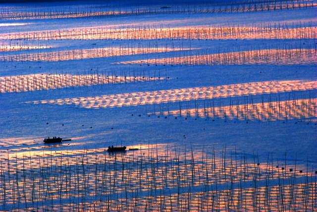 这是油画还是实景？太美太美啦！！