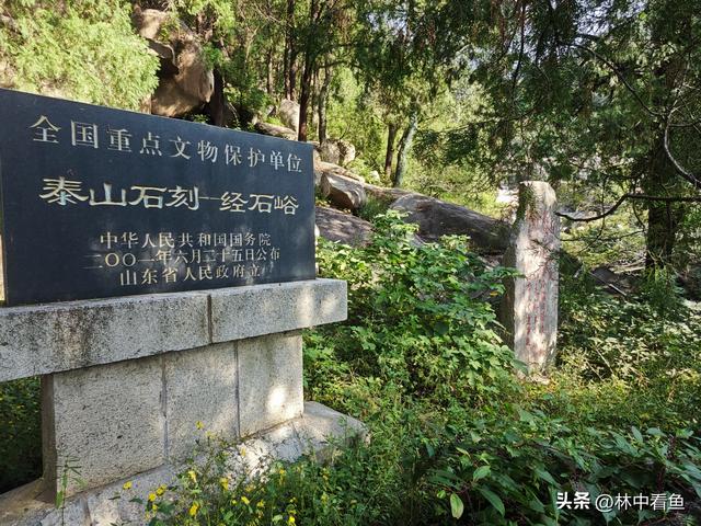 徒步登泰山之一——3小时从一天门到中天门