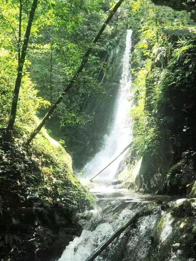 端阳喜伴小溪河，独有诗心迷远足——徒步小溪河散记（三）
