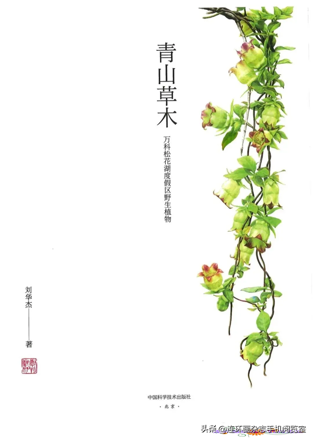 《青山草木》页选03