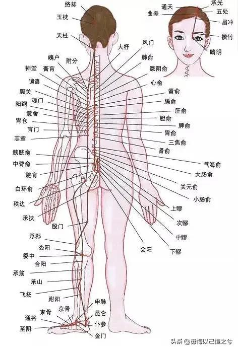 人体-结构-功能-系统