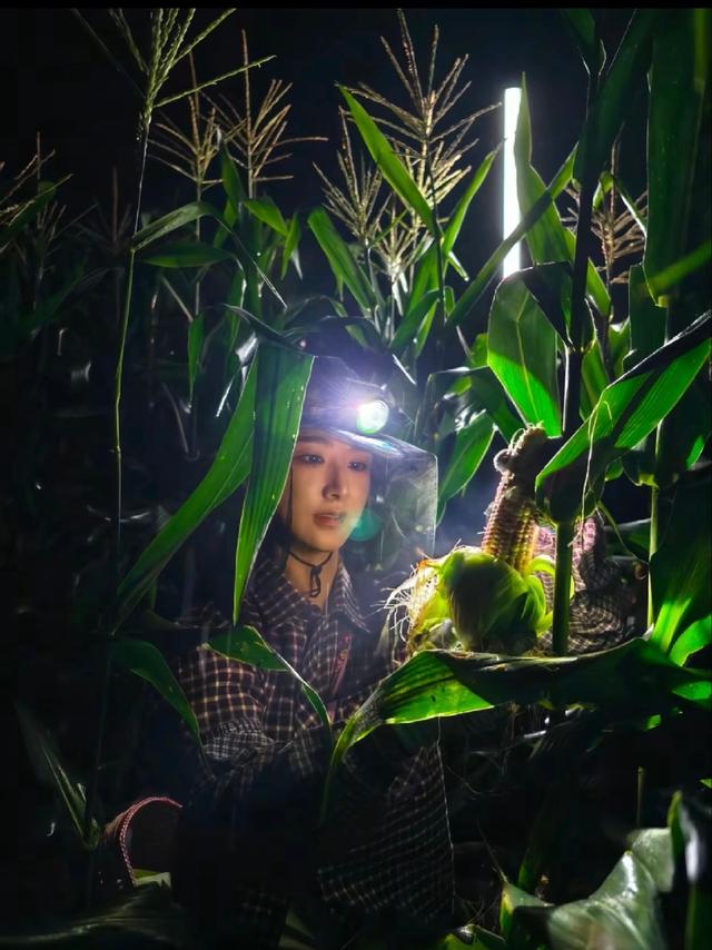谦寻助农路，就是一场产业环游记