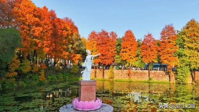 遛娃、约会、发呆…一份在韶关武江完美的晒太阳方案是这样↓