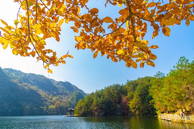 惊人发现两性关系中，60岁与异性靠近，根本不是桃花运，而是这个