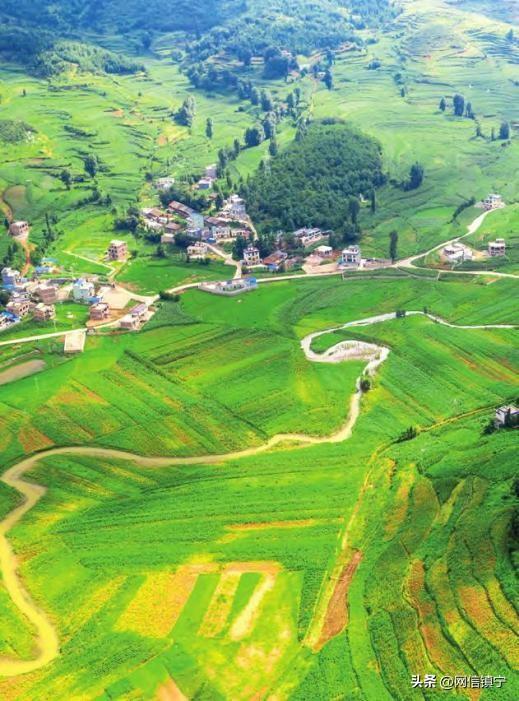 2025年中央一号文件中的“殡葬改革”