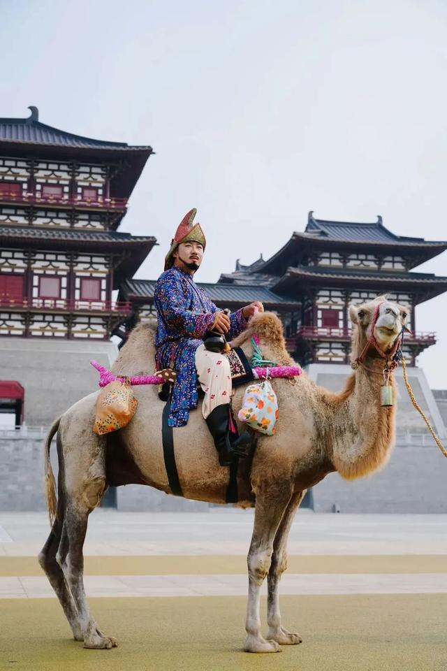 又有明星推荐洛阳！快，一起感受千年古都的“活色生香”