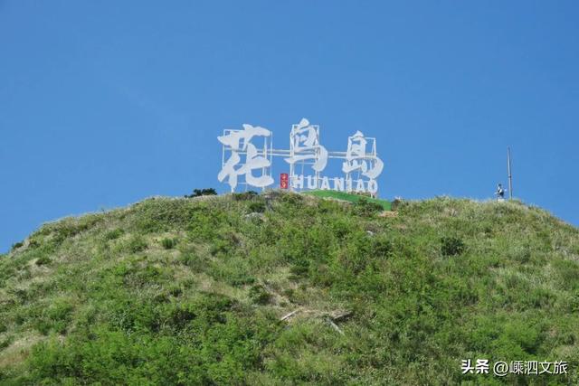 冬日寡淡？NO！看，花鸟岛的缤纷藏不住啦！