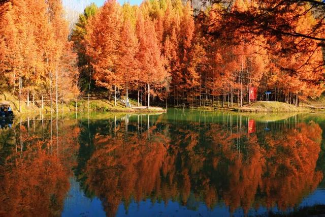 杉 杉 来 了 🤗🧣🧡