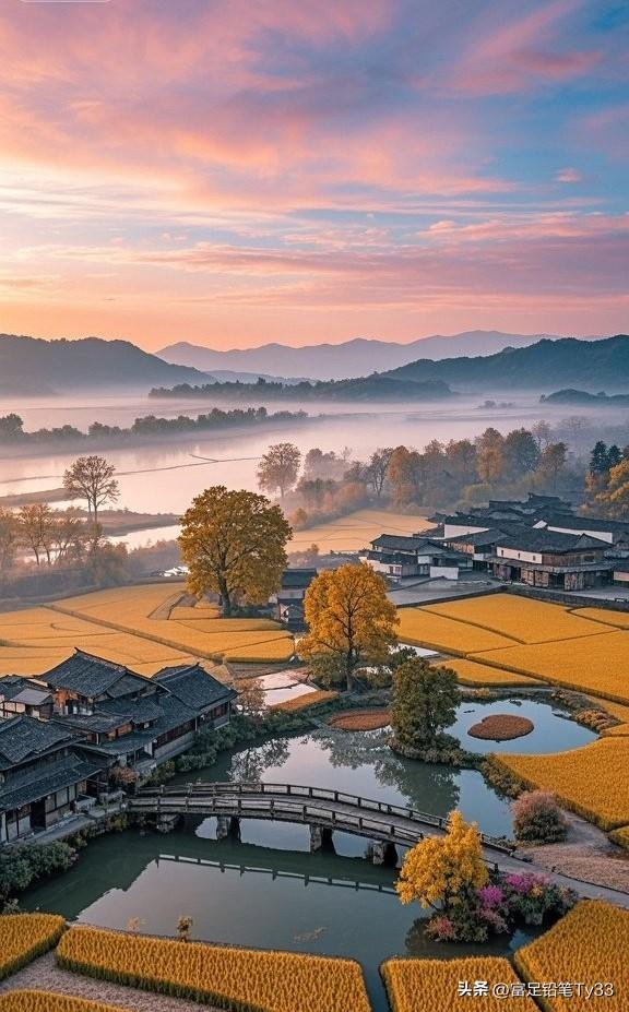 漫步花海；与爱同行，海鸥相伴，浪漫无边！