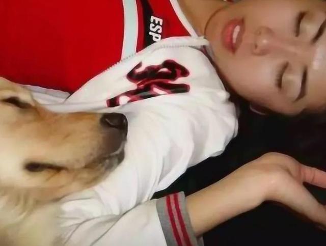女子和狗狗同吃同睡，6个月后肚子胀痛去医院检查，结果不尽人意