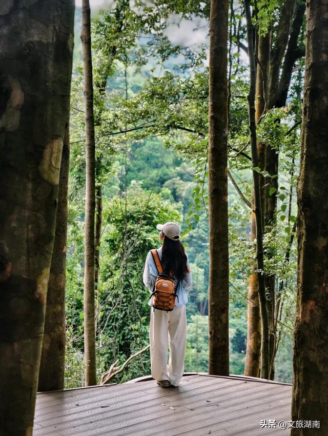 全部免费!解锁长沙10条山林徒步路线