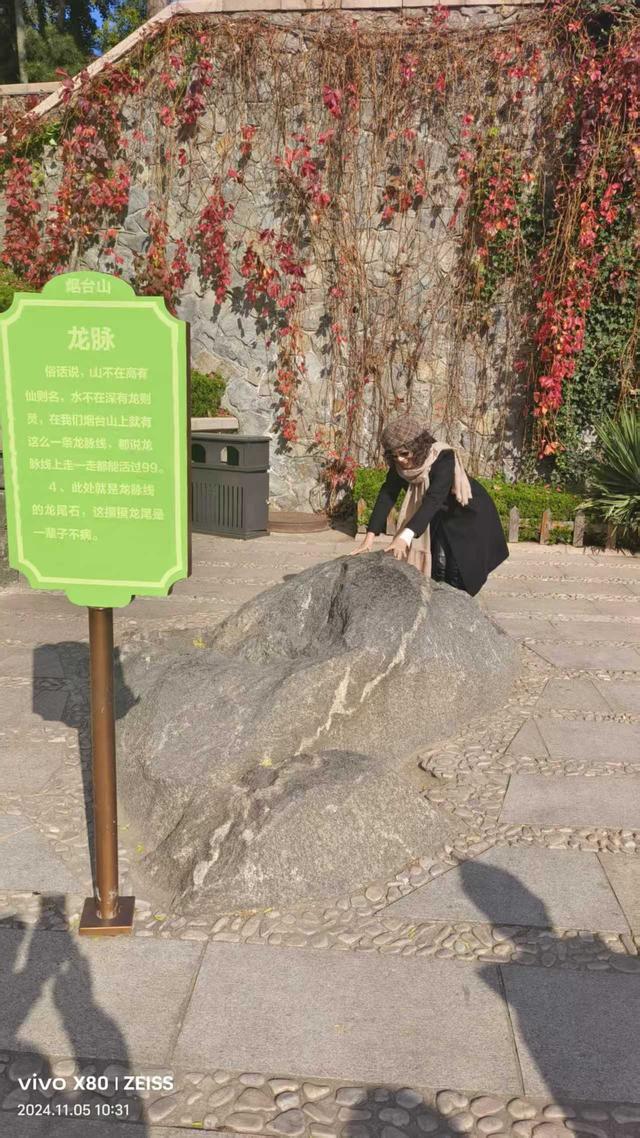 烟台山海寻踪：一座城的时光叠影