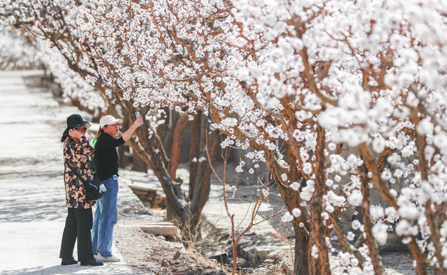 十二师：“景”上添花，“出圈”更出彩！