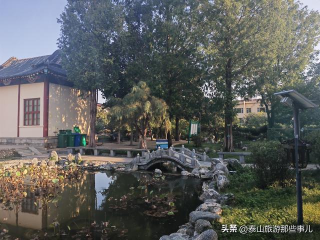 泰安：有一个城市园林，藏着1 眼泉水流芳千年，30个品种 600 盆秋菊