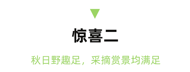 公交可达！实测初秋成都小众徒步线路，溜娃采摘逛老街！