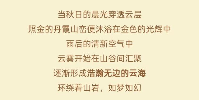 云海的照金，美如仙境！