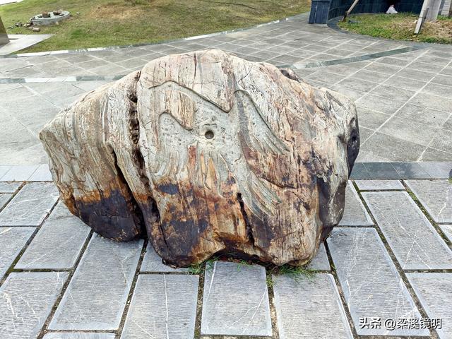 大雪时节，来汤山金乌公园晒暖阳、泡温泉（上）