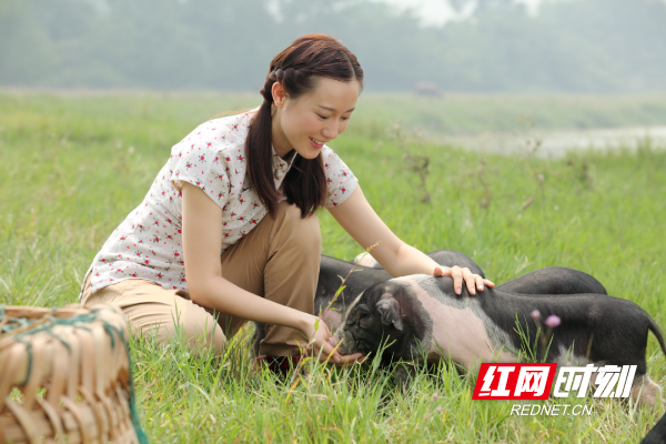 长沙VS郴州：一场比赛，两个江湖