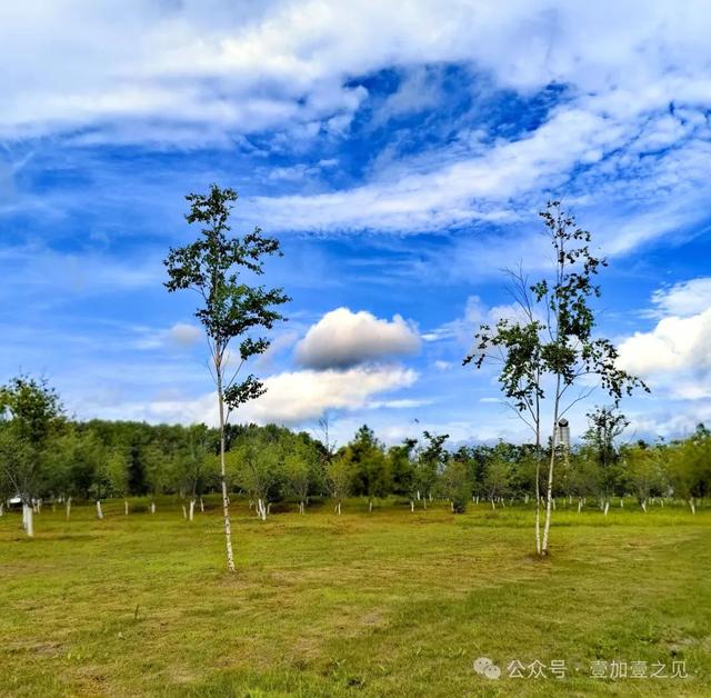 山水园林城 魅力七台河（上篇）