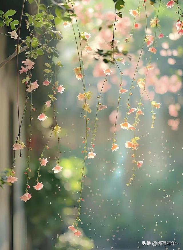 人过四十才明白：活出自我，从接纳不完美的自己开始