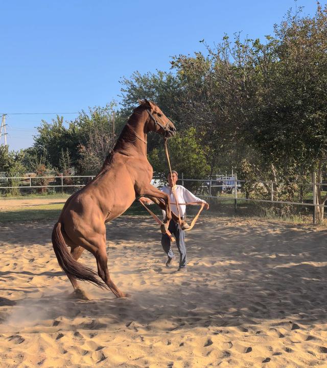 中亚五国行（19）——领略白色大理石之都【土库曼斯坦】