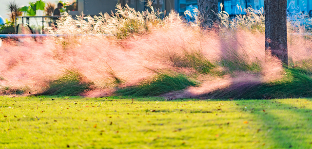 潮游钱塘 造物有声：解码钱塘工业旅游新图景