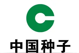 国内种子十大生产企业TOP10图片