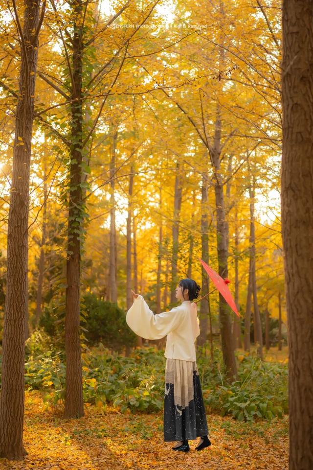 烟台秋日绝色盛宴筹备中，走！寻秋去！