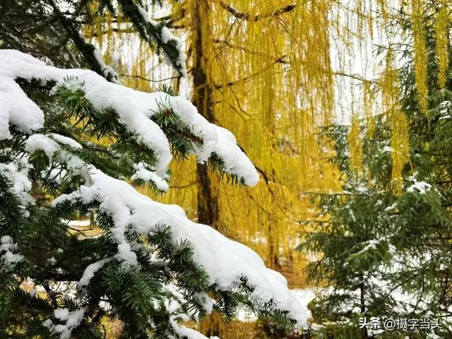 甲依拉措 :一场白雪与彩林的盛宴