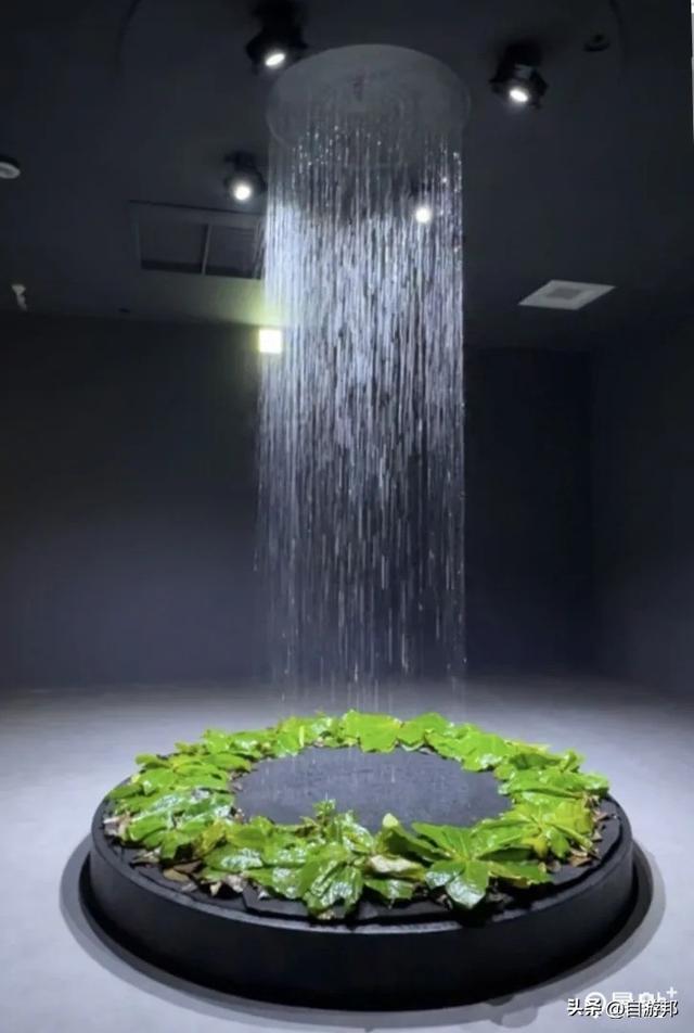 台中海洋馆 水母池艺术级水族体验 莲之水槽无敌梦幻