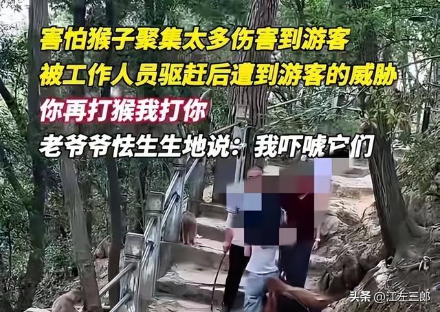 江苏男子扬言打老人后续：南京文旅做出回应，身份被扒全网社死