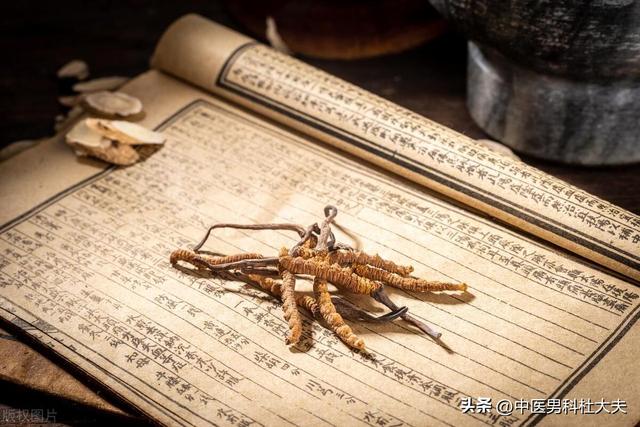 海绵体不充血，行事困难，补肝益肾，振奋坚韧，这一方足矣