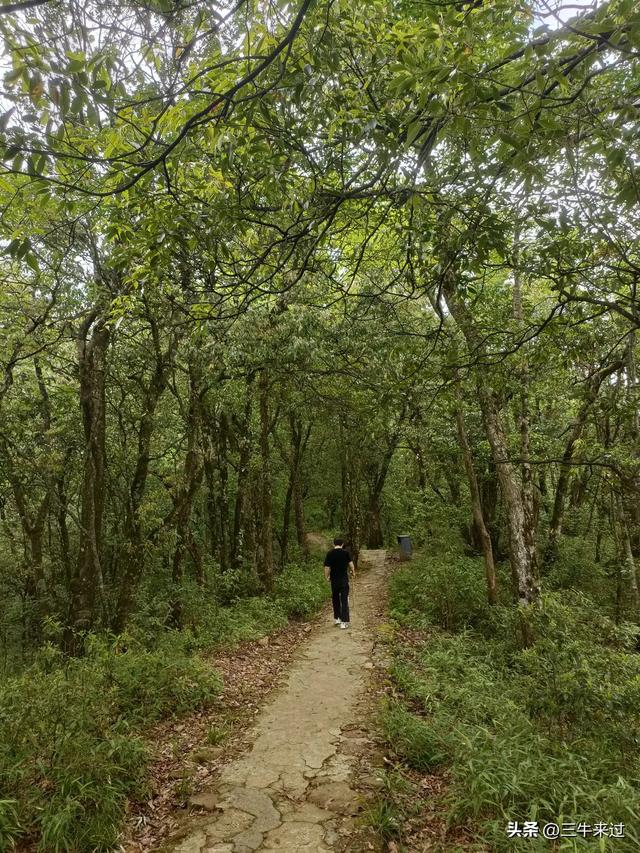 无为在歧路，贵州六日行（15）～梵净山