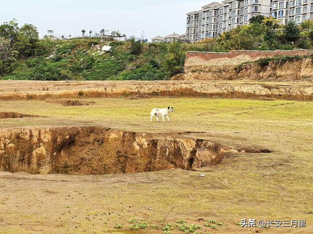 滈河畔鱼包头村，听放羊老汉讲西周
