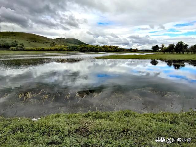 在额尔古纳和网友去了免费的湿地公园,晚上在青旅吃涮羊肉(十)