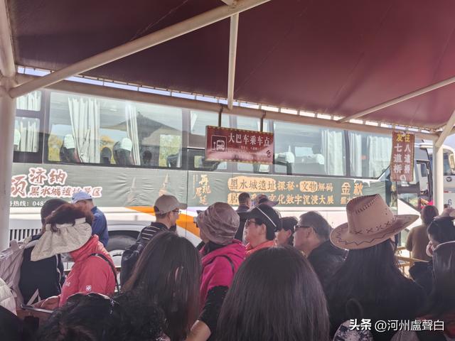 额济纳旗胡杨林