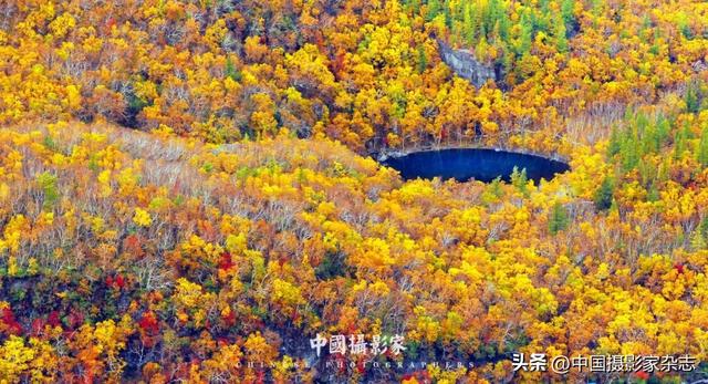 高鹏飞｜四季长白