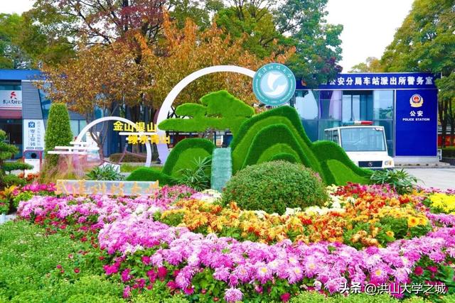 武汉洪山区第38届金秋菊展华美启幕