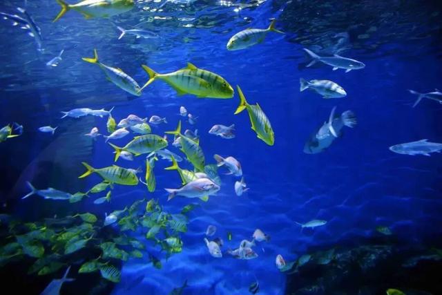 山东这座宝藏小城，坐拥中国四大名楼之一！苏轼、秦始皇都为它打call！